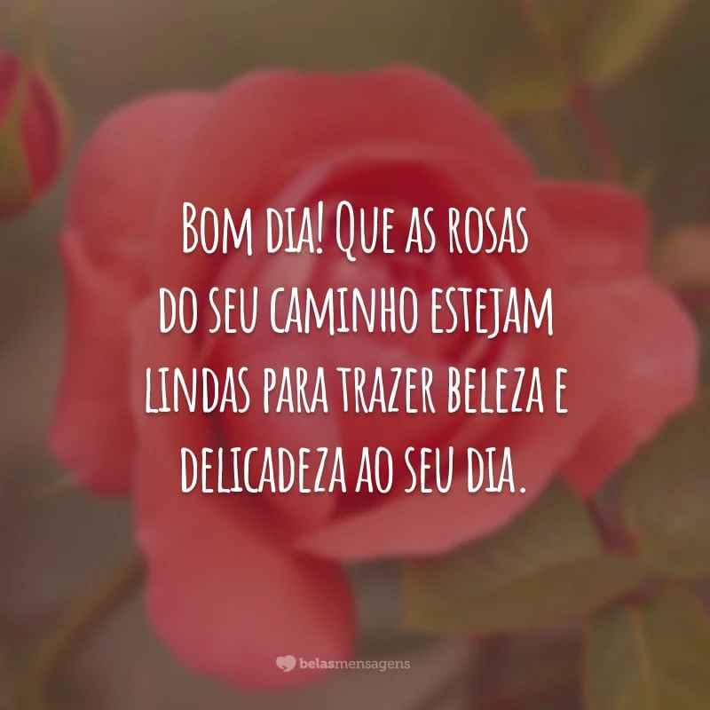 Bom dia! Que as rosas do seu caminho estejam lindas para trazer beleza e delicadeza ao seu dia.