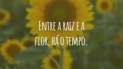 Entre a raiz e a flor, há o tempo.