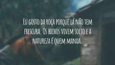 Eu gosto da roça porque lá não tem frescura. Os bichos vivem solto e a natureza é quem manda.