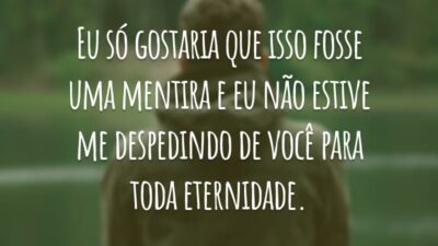 Eu só gostaria que isso fosse uma mentira e eu não estive me despedindo de você para toda eternidade.