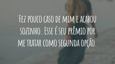 Fez pouco caso de mim e acabou sozinho. Esse é seu prêmio por me tratar como segunda opção.