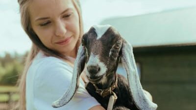 40 frases da roça porque a vida no campo é a “mió” que tem