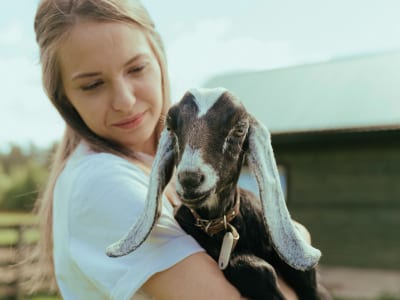 40 frases da roça porque a vida no campo é a “mió” que tem