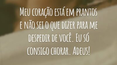 Meu coração está em prantos e não sei o que dizer para me despedir de você. Eu só consigo chorar. Adeus!