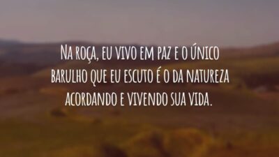 Na roça, eu vivo em paz e o único barulho que eu escuto é o da natureza acordando e vivendo sua vida.