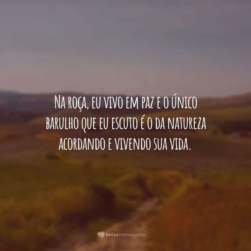 Na roça, eu vivo em paz e o único barulho que eu escuto é o da natureza acordando e vivendo sua vida.