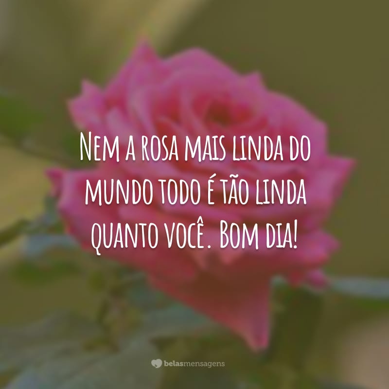 Nem a rosa mais linda do mundo todo é tão linda quanto você. Bom dia!