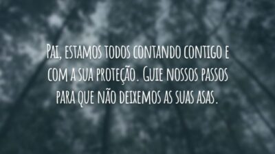 Pai, estamos todos contando contigo e com a sua proteção. Guie nossos passos para que não deixemos as suas asas.