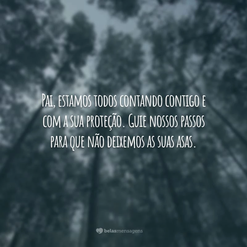 Pai, estamos todos contando contigo e com a sua proteção. Guie nossos passos para que não deixemos as suas asas.