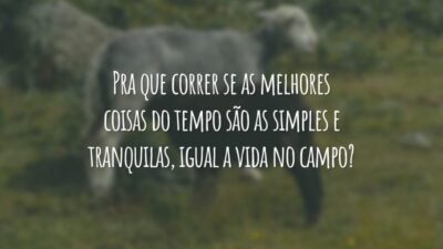 Pra que correr se as melhores coisas do tempo são as simples e tranquilas, igual a vida no campo?