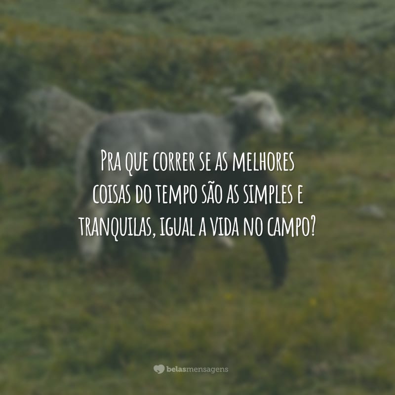 Pra que correr se as melhores coisas do tempo são as simples e tranquilas, igual a vida no campo?