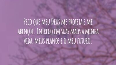 Peço que meu Deus me proteja e me abençoe. Entrego em suas mãos a minha vida, meus planos e o meu futuro.
