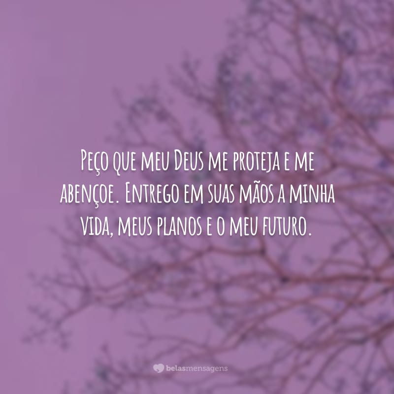 Peço que meu Deus me proteja e me abençoe. Entrego em suas mãos a minha vida, meus planos e o meu futuro.