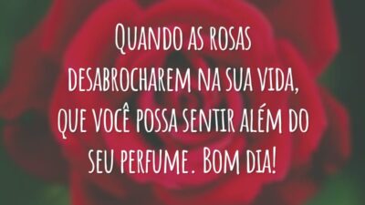 Quando as rosas desabrocharem na sua vida, que você possa sentir além do seu perfume. Bom dia!