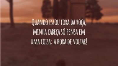 Quando estou fora da roça, minha cabeça só pensa em uma coisa: a hora de voltar!