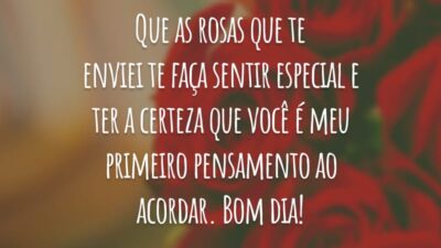 Que as rosas que te enviei te faça sentir especial e ter a certeza que você é meu primeiro pensamento ao acordar. Bom dia!