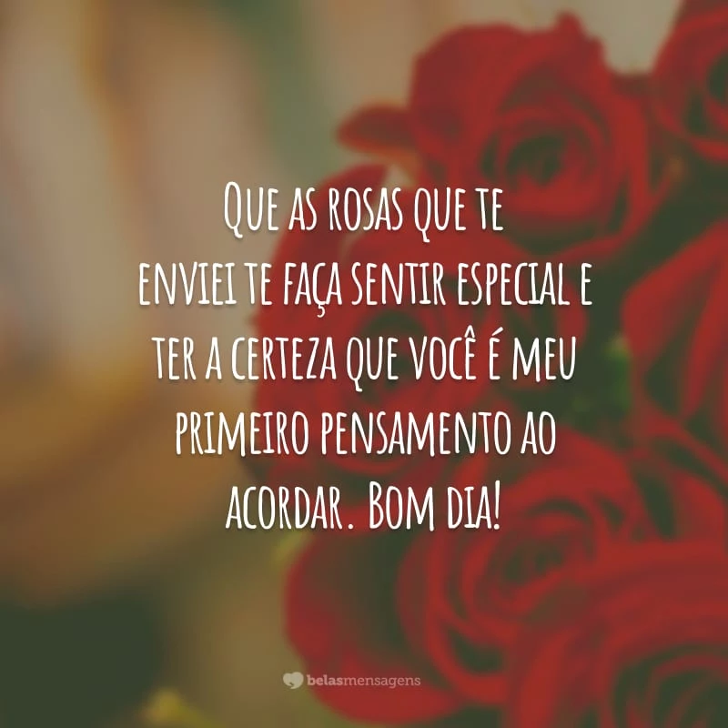 Que as rosas que te enviei te faça sentir especial e ter a certeza que você é meu primeiro pensamento ao acordar. Bom dia!