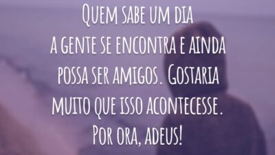 Quem sabe um dia a gente se encontra e ainda possa ser amigos. Gostaria muito que isso acontecesse. Por ora, adeus!