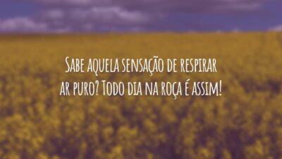 Sabe aquela sensação de respirar ar puro? Todo dia na roça é assim!