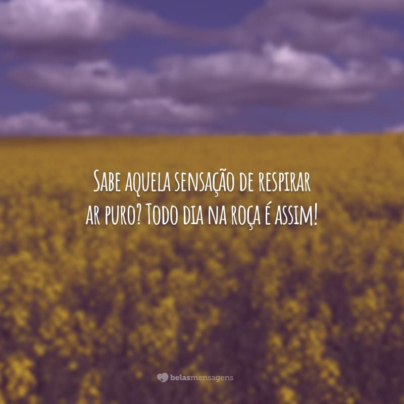 Sabe aquela sensação de respirar ar puro? Todo dia na roça é assim!