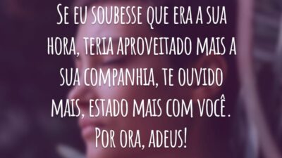 Se eu soubesse que era a sua hora, teria aproveitado mais a sua companhia, te ouvido mais, estado mais com você. Por ora, adeus!