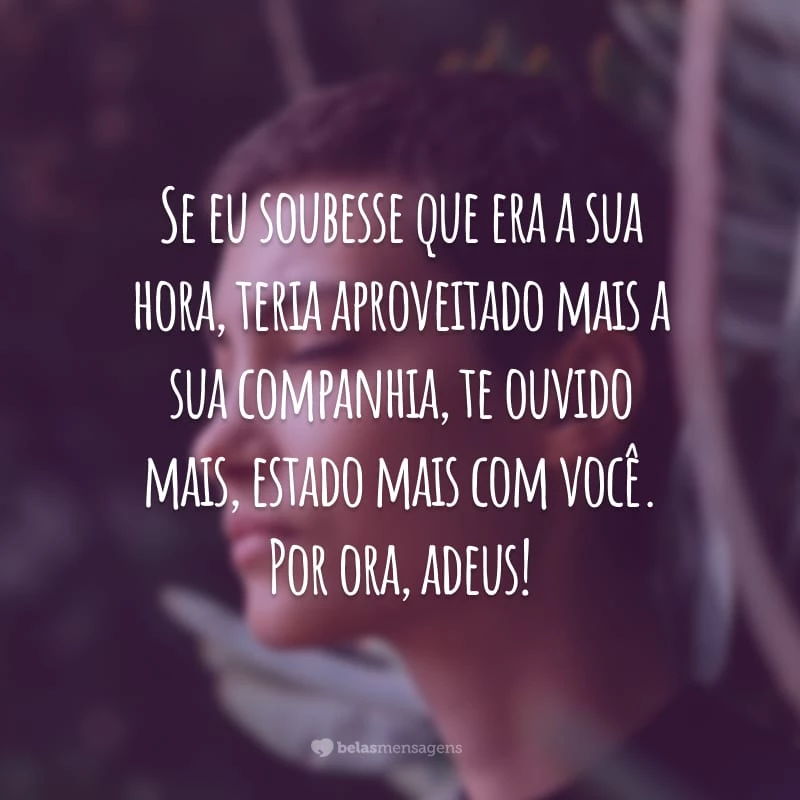 Se eu soubesse que era a sua hora, teria aproveitado mais a sua companhia, te ouvido mais, estado mais com você. Por ora, adeus!