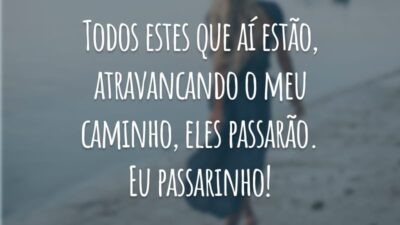 Todos estes que aí estão, atravancando o meu caminho, eles passarão. Eu passarinho!
