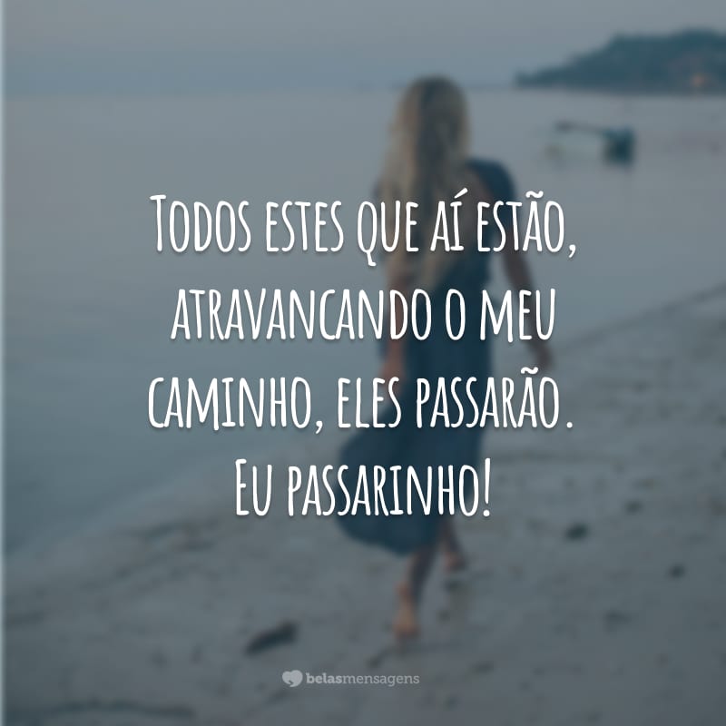 Todos estes que aí estão, atravancando o meu caminho, eles passarão. Eu passarinho!