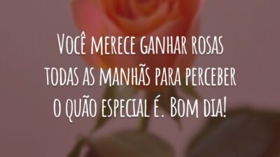 Você merece ganhar rosas todas as manhãs para perceber o quão especial é. Bom dia!