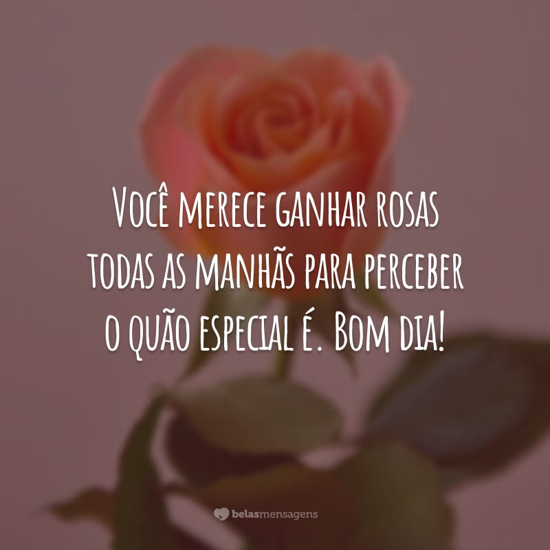 Você merece ganhar rosas todas as manhãs para perceber o quão especial é. Bom dia!