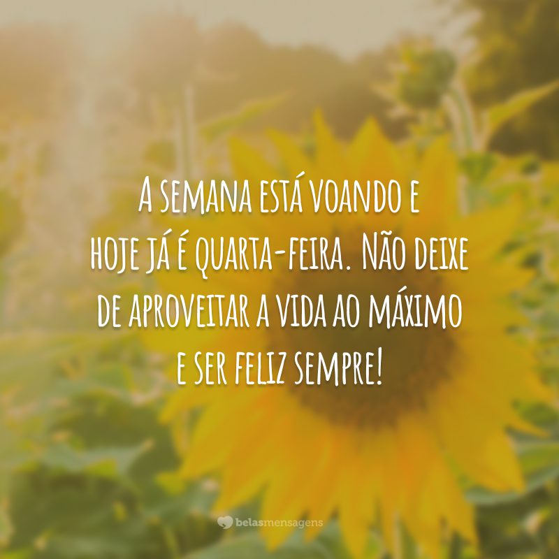 A semana está voando e hoje já é quarta-feira. Não deixe de aproveitar a vida ao máximo e ser feliz sempre!