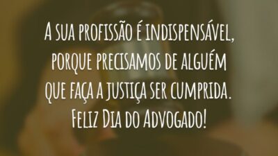 A sua profissão é indispensável, porque precisamos de alguém que faça a justiça ser cumprida. Feliz Dia do Advogado!