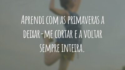 Aprendi com as primaveras a deixar-me cortar e a voltar sempre inteira.