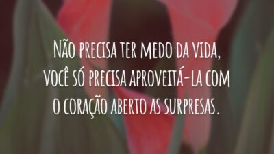 Não precisa ter medo da vida, você só precisa aproveitá-la com o coração aberto as surpresas.