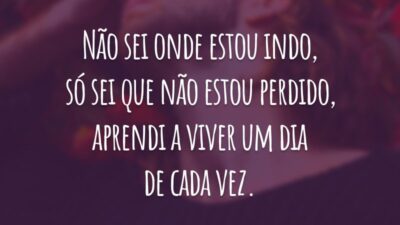 Não sei onde estou indo, só sei que não estou perdido, aprendi a viver um dia de cada vez.