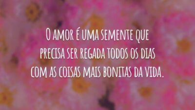 O amor é uma semente que precisa ser regada todos os dias com as coisas mais bonitas da vida.