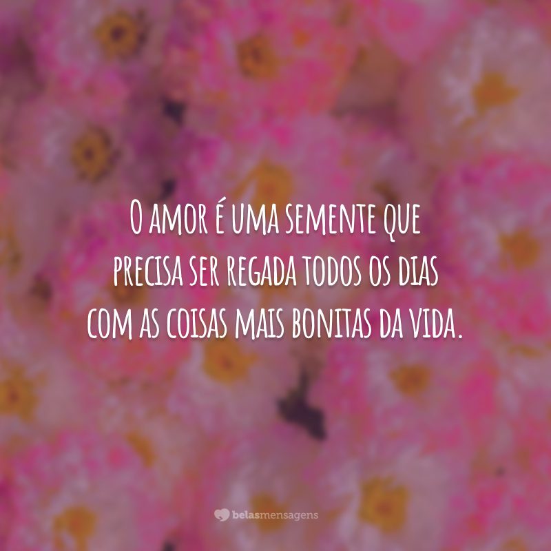 O amor é uma semente que precisa ser regada todos os dias com as coisas mais bonitas da vida. 