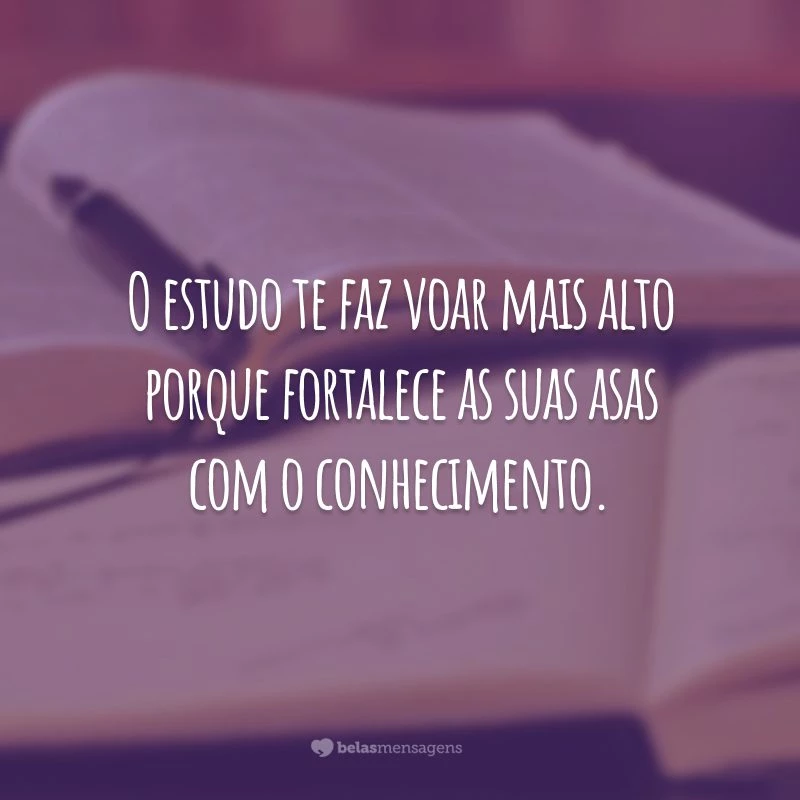 O estudo te faz voar mais alto porque fortalece as suas asas com o conhecimento.