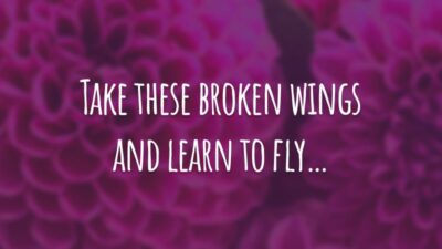 Take these broken wings and learn to fly… (Pegue estas asas quebradas e aprenda a voar...)