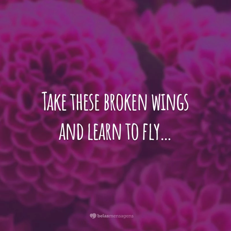 Take these broken wings and learn to fly… (Pegue estas asas quebradas e aprenda a voar...)