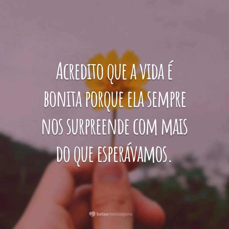 Acredito que a vida é bonita porque ela sempre nos surpreende com mais do que esperávamos.