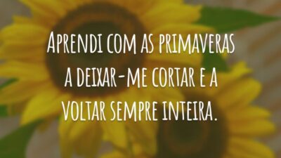 Aprendi com as primaveras a deixar-me cortar e a voltar sempre inteira.