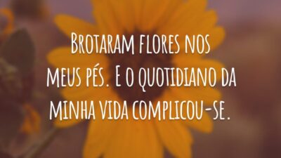 Brotaram flores nos meus pés. E o quotidiano da minha vida complicou-se.