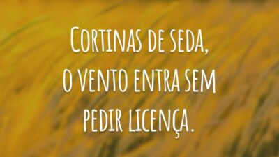 Cortinas de seda, o vento entra sem pedir licença.