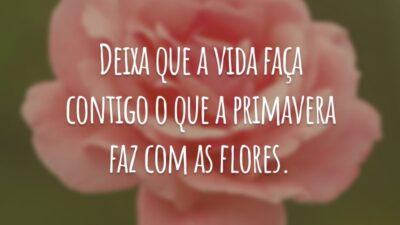 Deixa que a vida faça contigo o que a primavera faz com as flores.