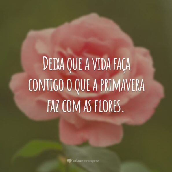 40 frases de poemas de flores para ter um dia perfumado