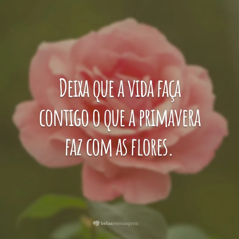 Deixa que a vida faça contigo o que a primavera faz com as flores.