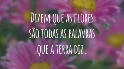 Dizem que as flores são todas as palavras que a terra diz.