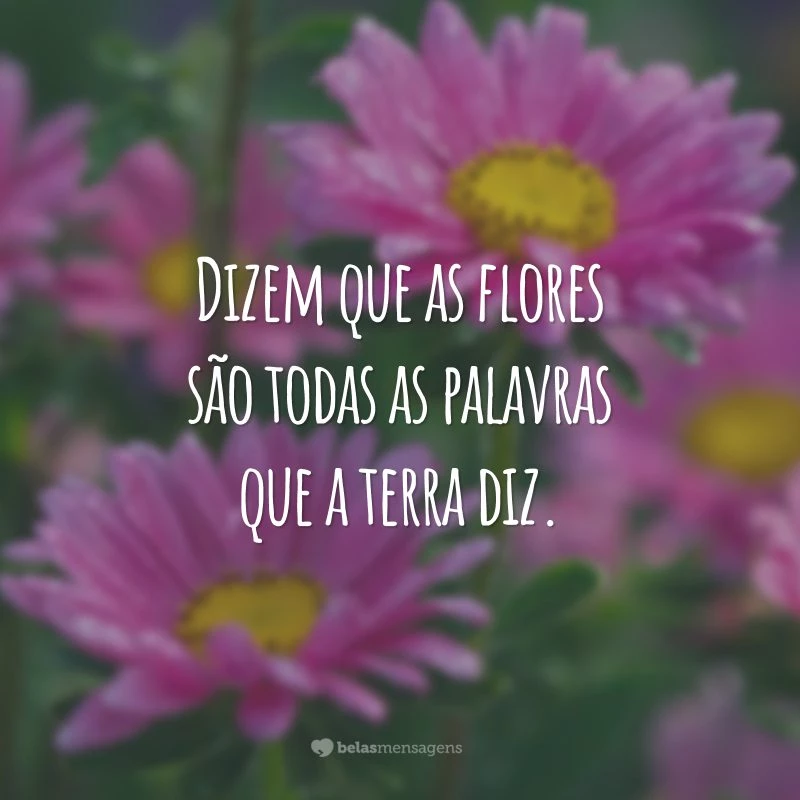 Dizem que as flores são todas as palavras que a terra diz.