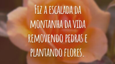 Fiz a escalada da montanha da vida removendo pedras e plantando flores.